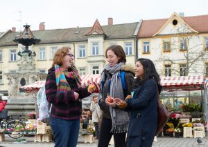Study Abroad in Germany Strategic Plan