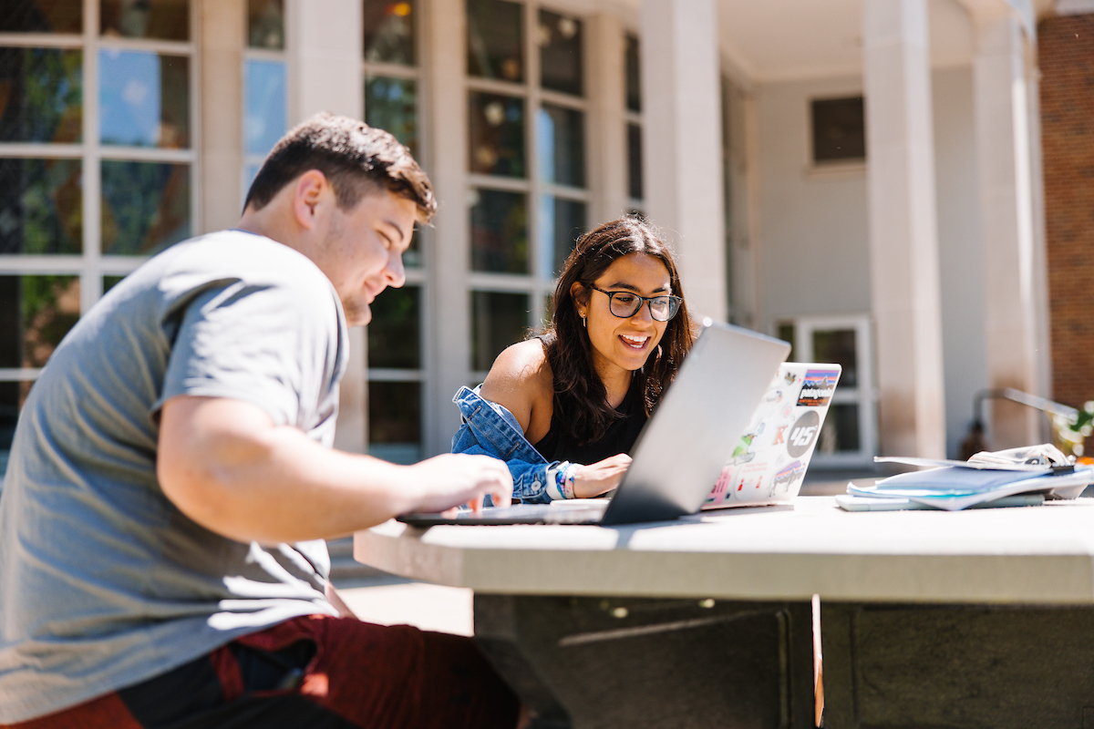 Students studying outside