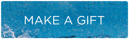 Make a gift