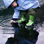 anPuddles Jack in Puddle (Robert Murphy). http://www.flickr.com/photos/imurphy/22752012/ Creative commons license