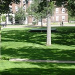 Quad by Olivia Quad by Olivia