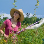 K alumna and bee expert Rebecca Tonietto ’05
