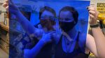 Two students assemble lighting kits with a blue filter