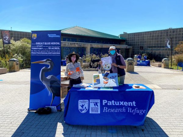 National Wildlife Day Efforts at Patuxent Resesarch Refuge