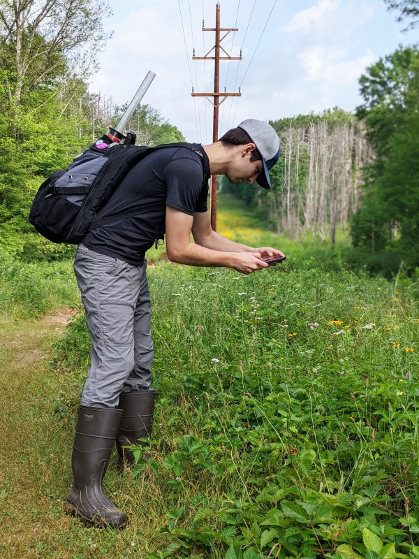 Eli Edlefson uses his phone to identify wildflowers