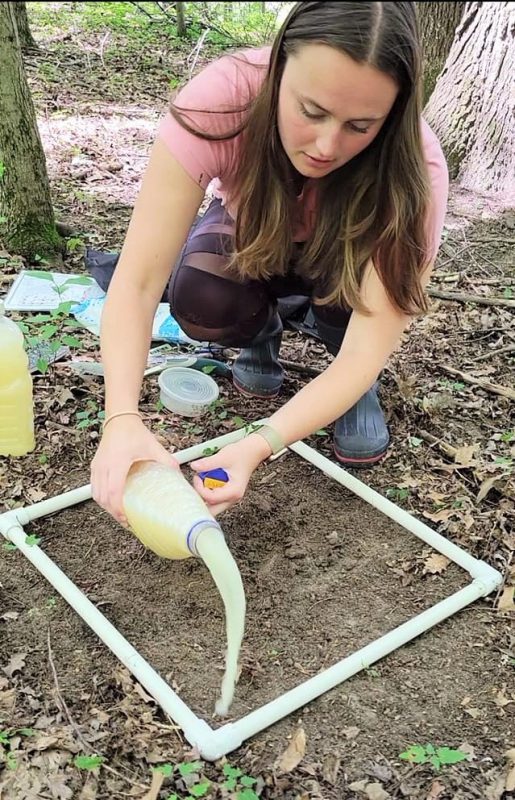 Katie Rock pours mustard water into a sampling water