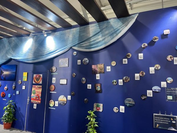 Artwork at U.N. Climate Change Conference shows pictures, paintings and posters of Earth's environment with QR codes for more information