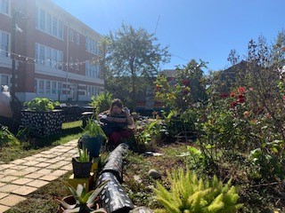 Students and volunteers painted signs for a garden in New Orleans