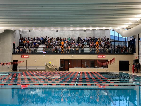 Natatorium observation deck