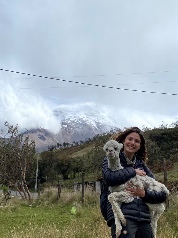 Fulbright Fellows: Natalie Call holds an alpaca with mountains in the background