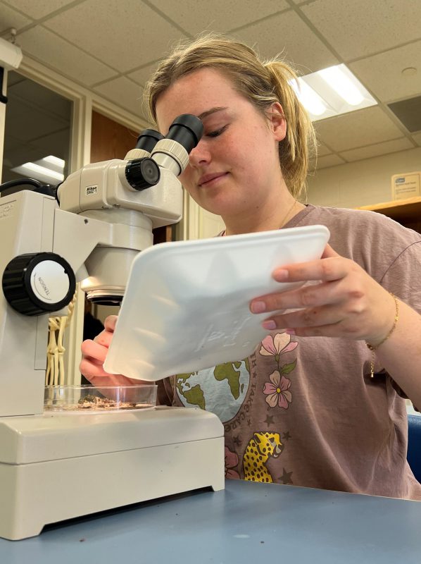 Student examines snails through a microscope