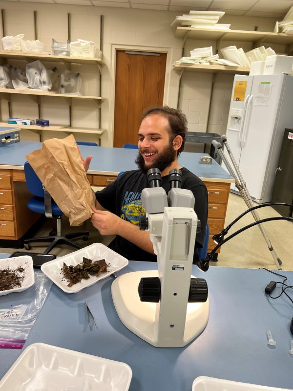 Student goes through leaf litter samples to look for land snails