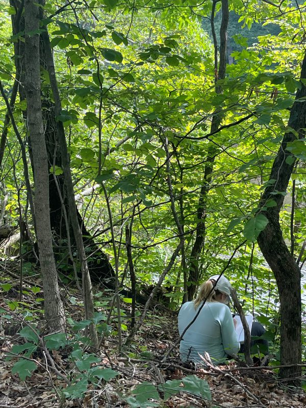 Student collecting samples in forest area