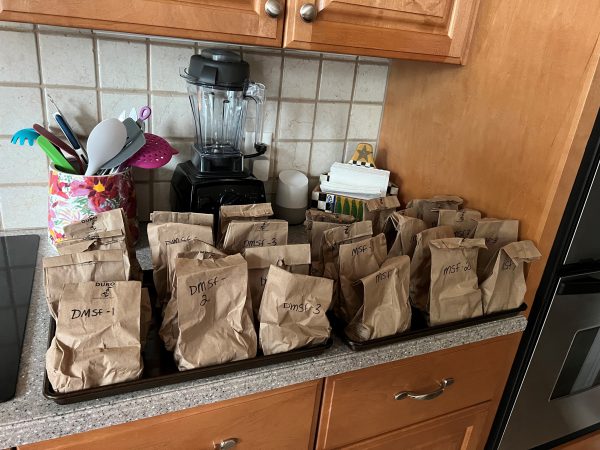 Leaf litter samples in paper bags