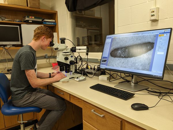 Student looks through microscope that projects image on to a computer screen