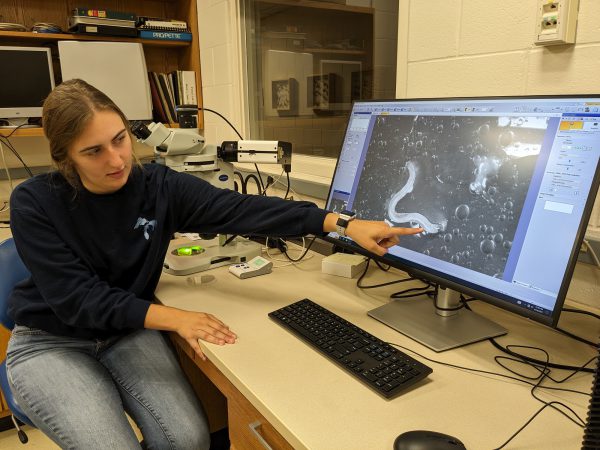 Student points to an image projected onto a computer screen