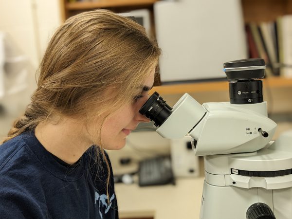 Student looking into a microscope