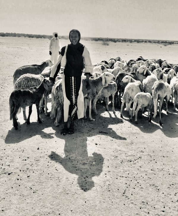 Darsalam Amir visiting Chad while surrounded by sheep