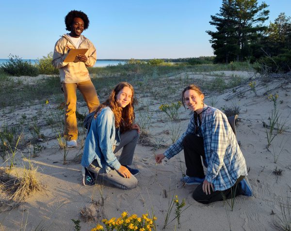 Three students taking notes on plants on Beaver Island