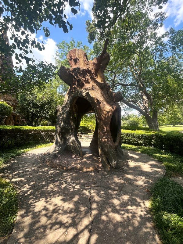 Abraham's Oak at Memorial Park Cemetery in Memphis, Tennessee. 