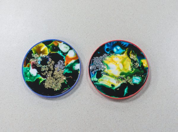 Sisters in Science experiment