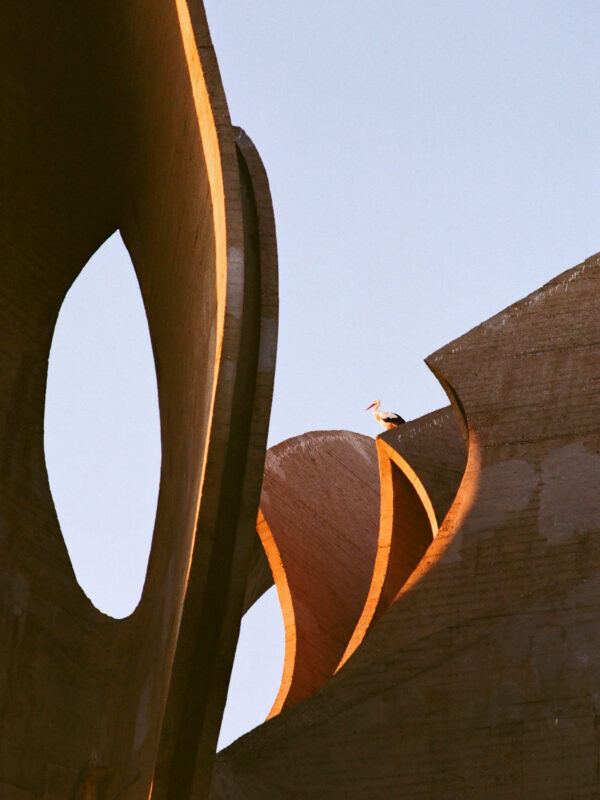 The Stone Flower Monument