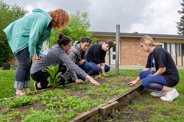 Students hunched over a garden weeding