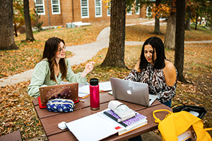 Two students studying outside
