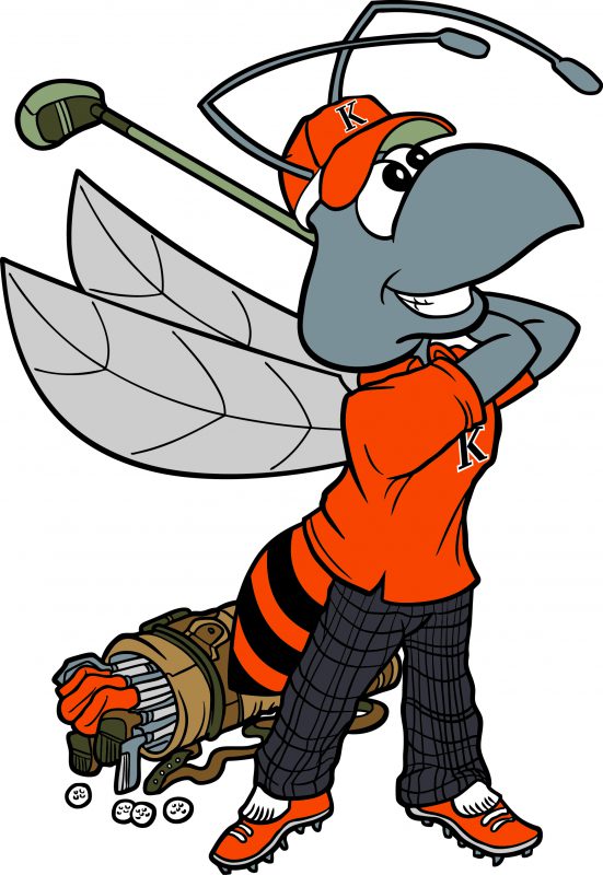 Hornet mascot Hamo