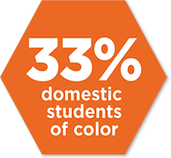 33% domestic students of color