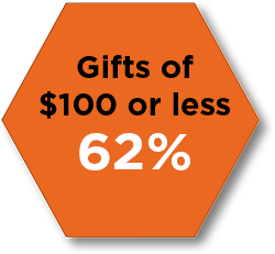 Orange hexagon displaying fundraising statistic: Gifts of $100 or less, 62%.