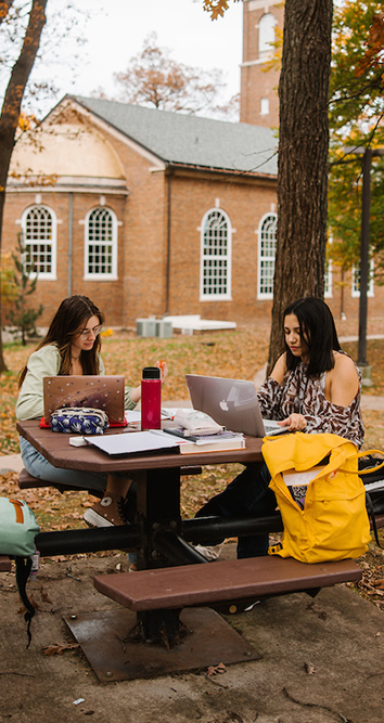 two students studying outside