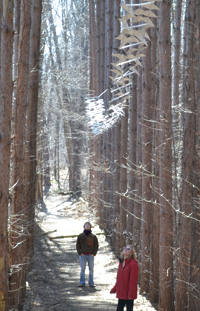 Lillian Anderson Arboretum