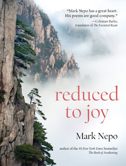 Book Cover of "Reduced to Joy"