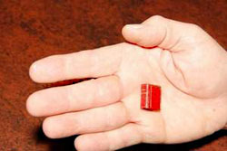 A tiny Bible in the palm of a hand