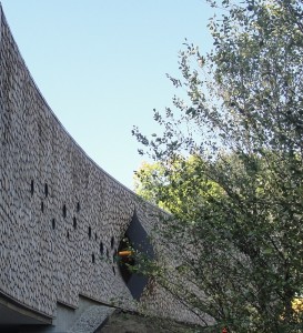Arcus Center for Social Justice Leadership
