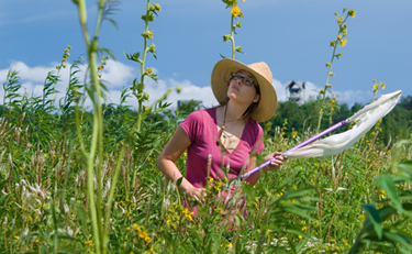 K alumna and bee expert Rebecca Tonietto ’05