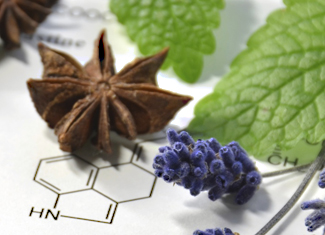 Four Awarded Fellowships for Research