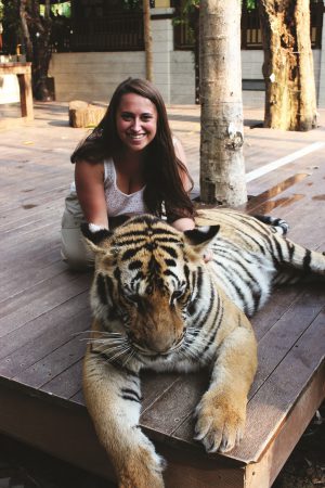 Foreign Study Petting Tigers