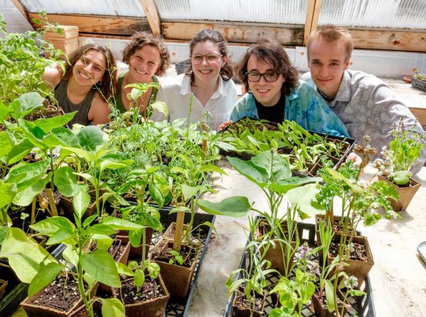 Hoop house students gathered around plants