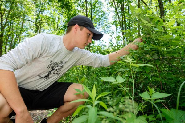 Environmental education student examining plants