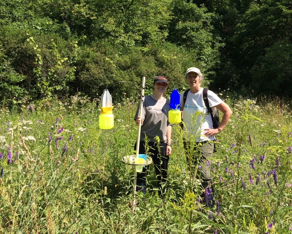 Professor’s Project Promotes Pollinators, Begets Buzz