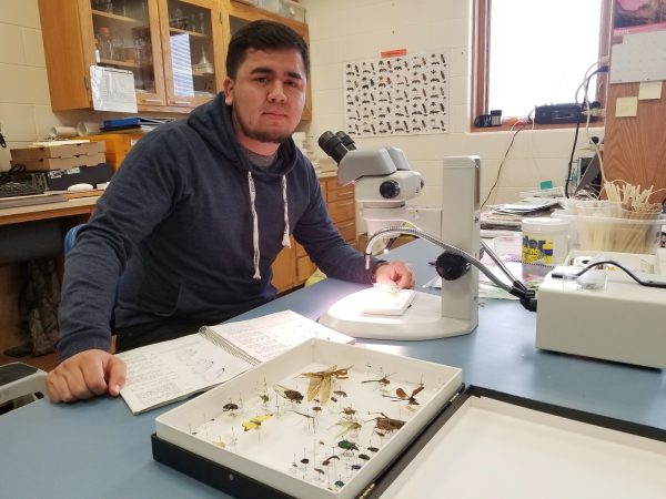 NSF Graduate Fellow uses a microscope at Dow Science Center