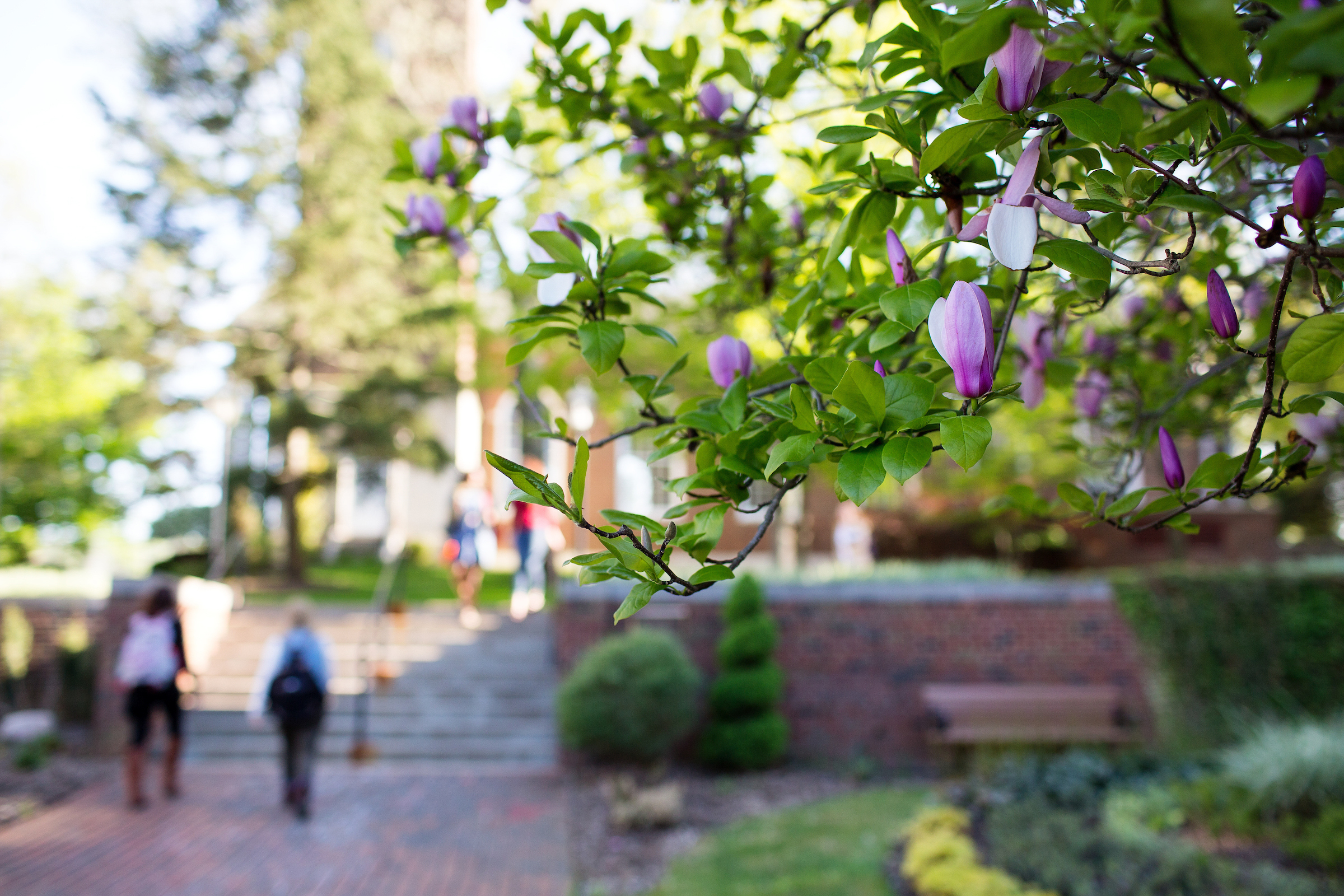 Spring 2019 Dean’s List Unveiled