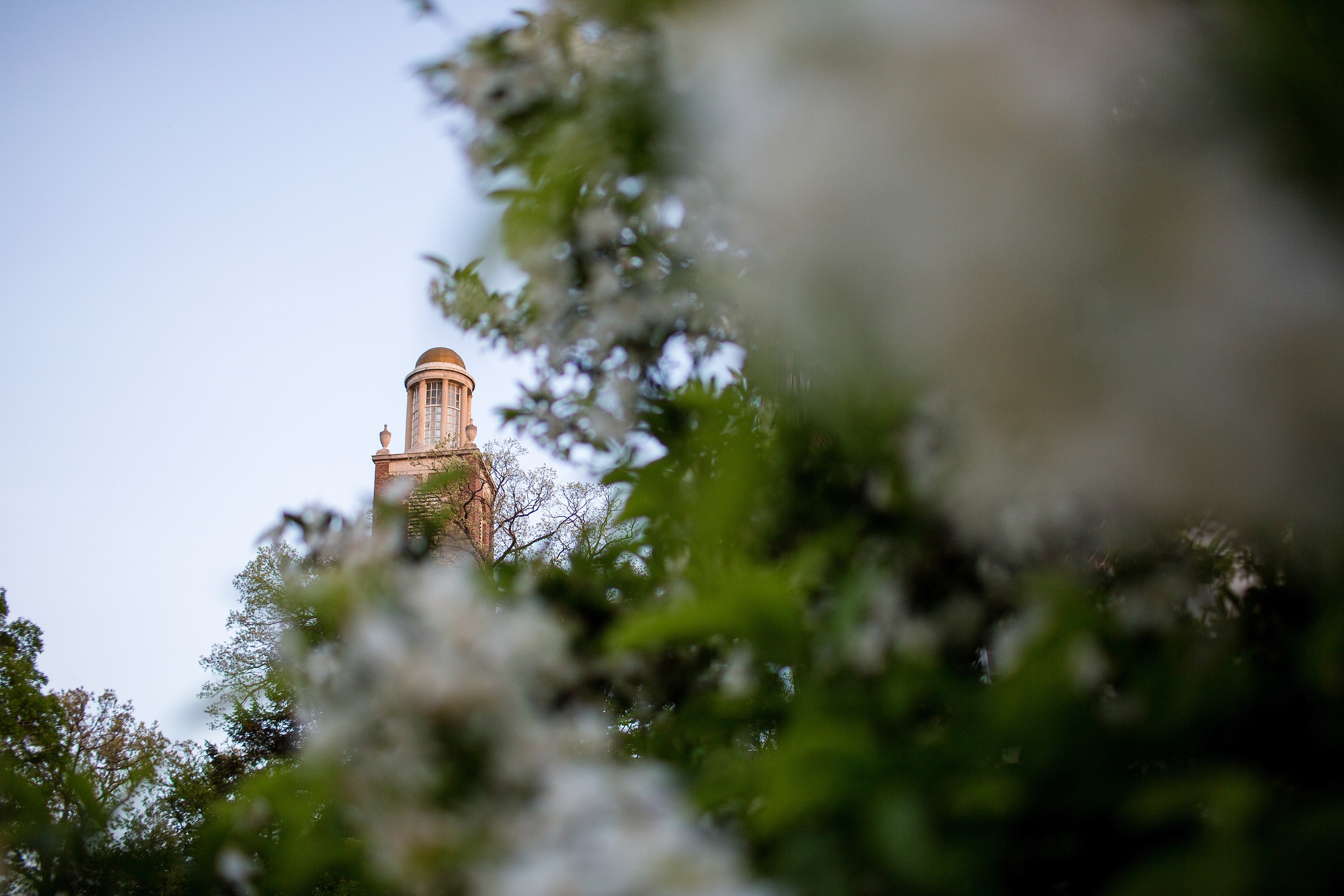 Forbes Honors K on Top Colleges List