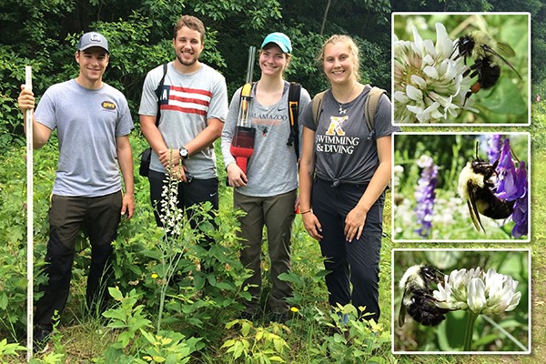 Four students researching bumblebees