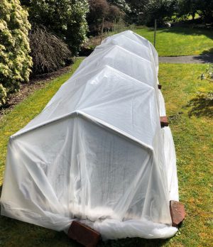 Megan Earth Day Cold Frame Hoop House