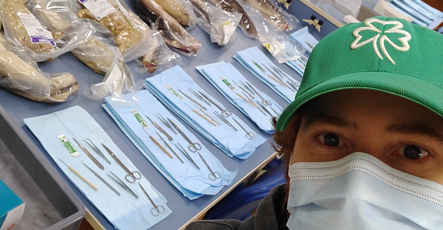 Professor’s Creative Trailer Motivates Biology Students
