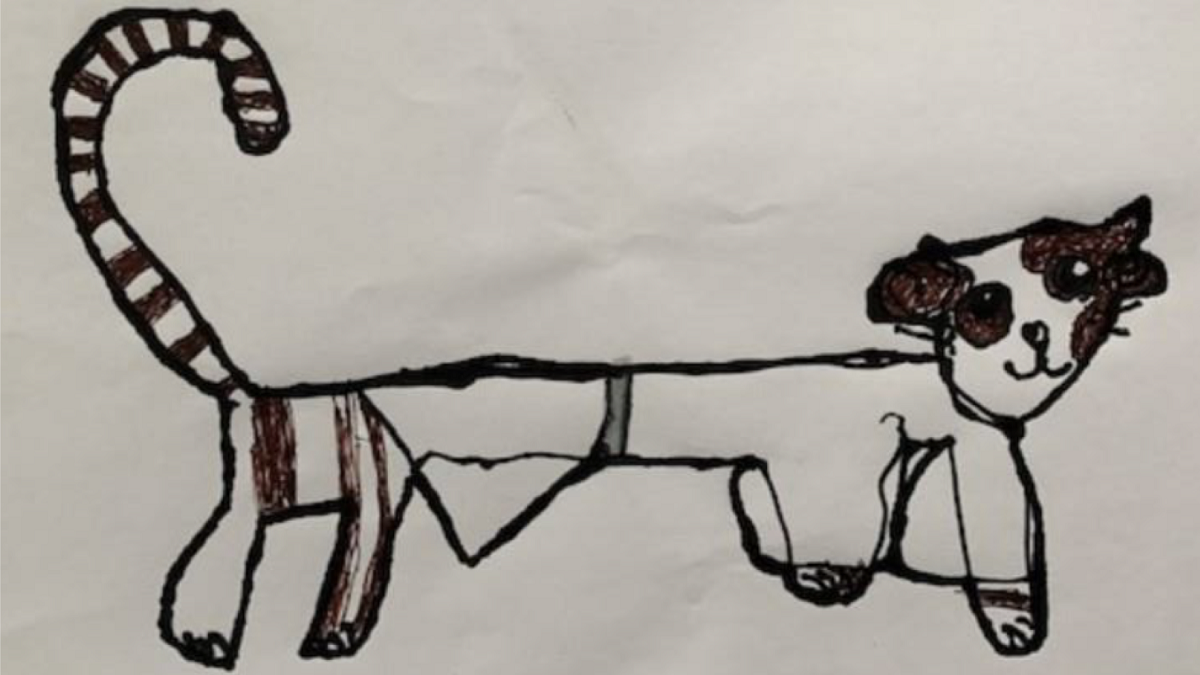 Co-Authorship Project Engages Children in Quarantine