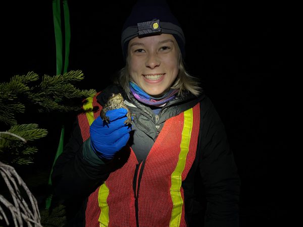 Molly Ratliff with boreal toads at night